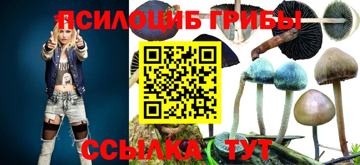 Галлюциногенные грибы мицелий  Вход с VPN  Заволжье 